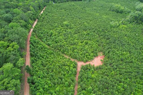 Photo of 0 Aster Ct Block 2, Waverly Hall, GA 31831 (MLS # 10540208)