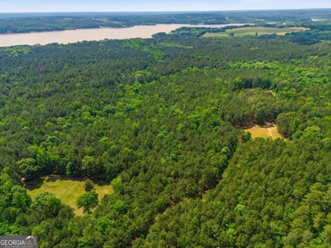 Photo of 2630 Cold Springs Road, Greensboro, GA 30642 (MLS # 10782817)