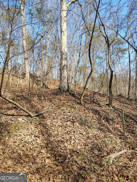 Photo of 0 Braswell Road, Rockmart, GA 30153 (MLS # 10682565)