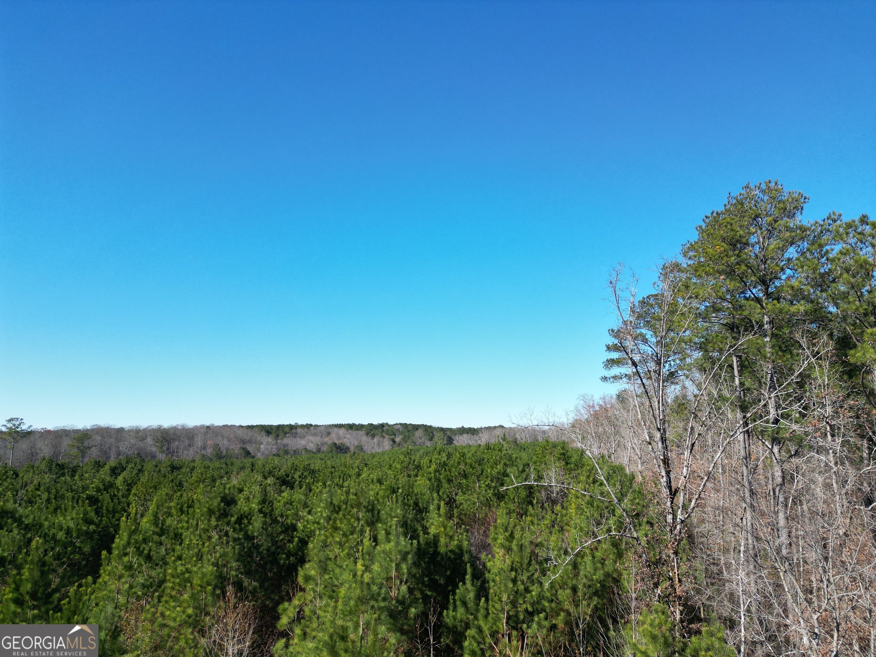 0 Jaudon RD (30.03 ACRE LOT)