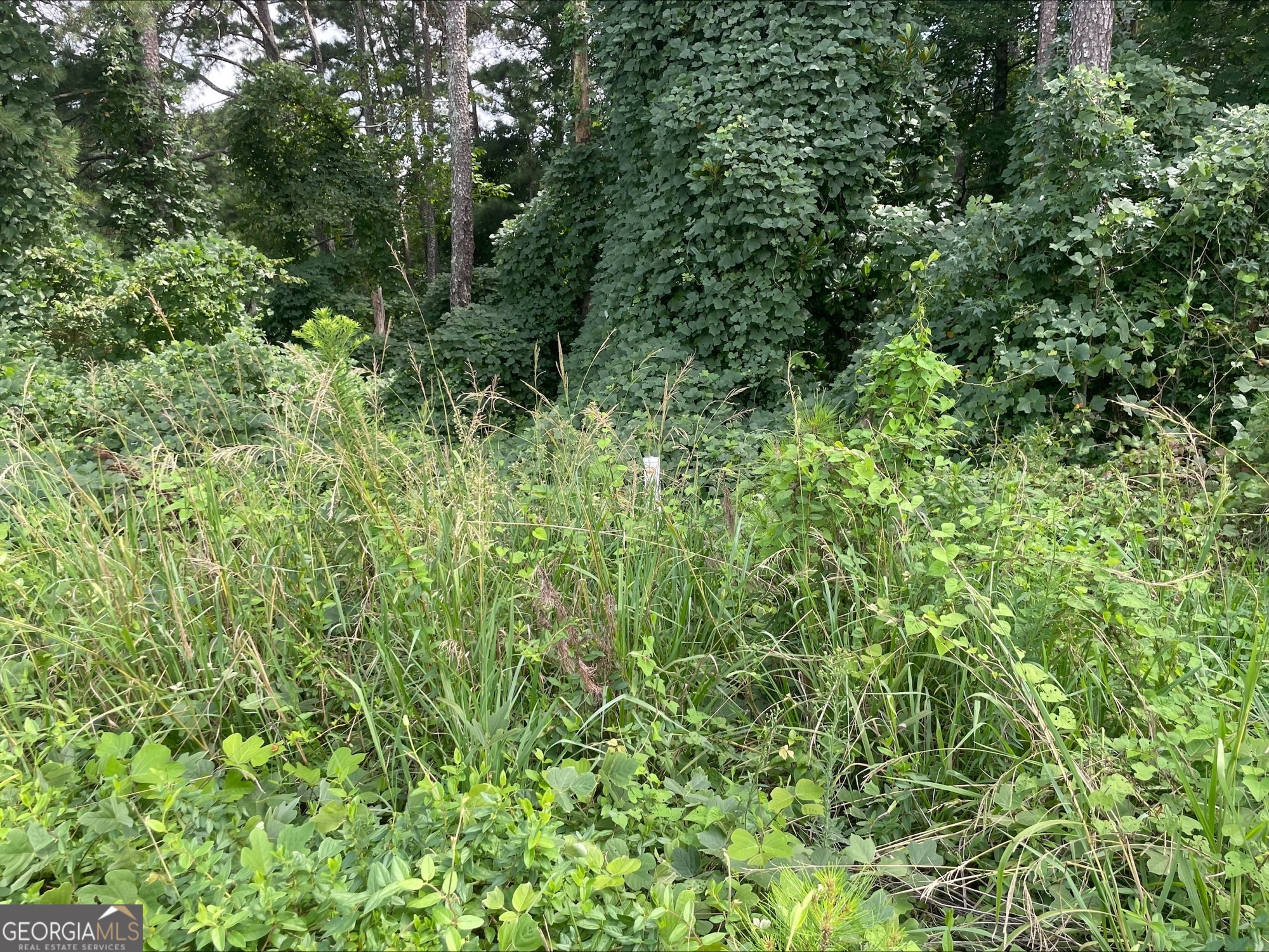 Great Commercial Lot with moderate to high traffic on Jodeco Road in McDonough. This lot is close to I-75 and Zoned C2. The Adjacent lot is also for sale. See GAMLS #10495844. Together, the two lots would be the perfect size for a small business, with almost an acre (.92) and over 200 ft of road frontage.