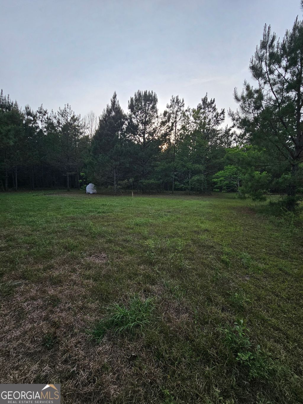 Photo of 3780 Maria Sorrell Road, Statesboro, GA 30461 (MLS # 10758976)