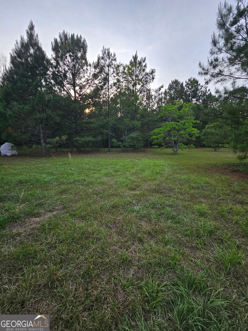 Photo of 3780 Maria Sorrell Road, Statesboro, GA 30461 (MLS # 10758976)