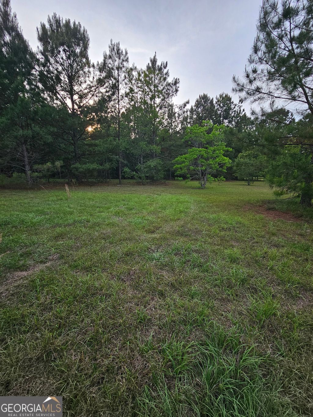 Photo of 3780 Maria Sorrell Road, Statesboro, GA 30461 (MLS # 10758976)