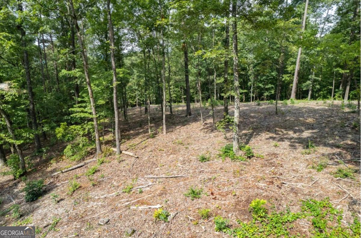 LOT 314 Pebble TRCE 314