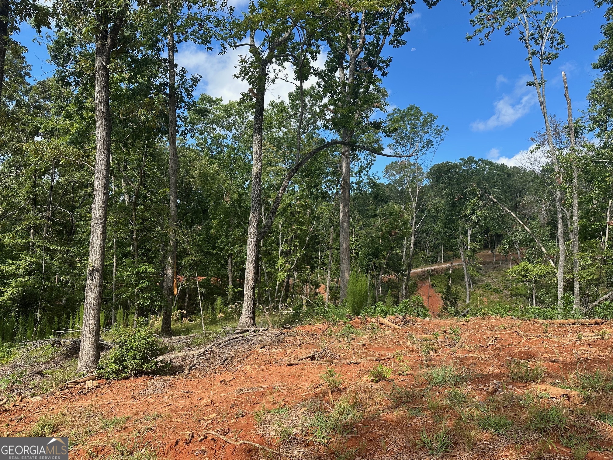 Looking to build with a little more space, or a nice lot for a spec? This is exactly what you're looking for. All the hard work has been done. This beautiful corner lot is cleared, stumped, & graded, setting it up to be ready to build on quickly. Fronting on the county road and a private road, it's flat, and ready for a slab or basement. Farmhouse or barndominium dreams can come true. Want a yard to throw a ball or have a pool? Animals? Plenty of room to fence. Need a guest house? There's a second building location as well. The views over the river basin are excellent. The skies are dark at night. Located down a quiet, dead end, paved county road with power & fiber in place. Prime Dawsonville location. Minutes from 400, the outlets, downtown Dahlonega & everything North Georgia offers. If you're looking for a lot with more trees or off the main road, we have a couple opportunities left. Need a bigger amount of acreage? We have that too!