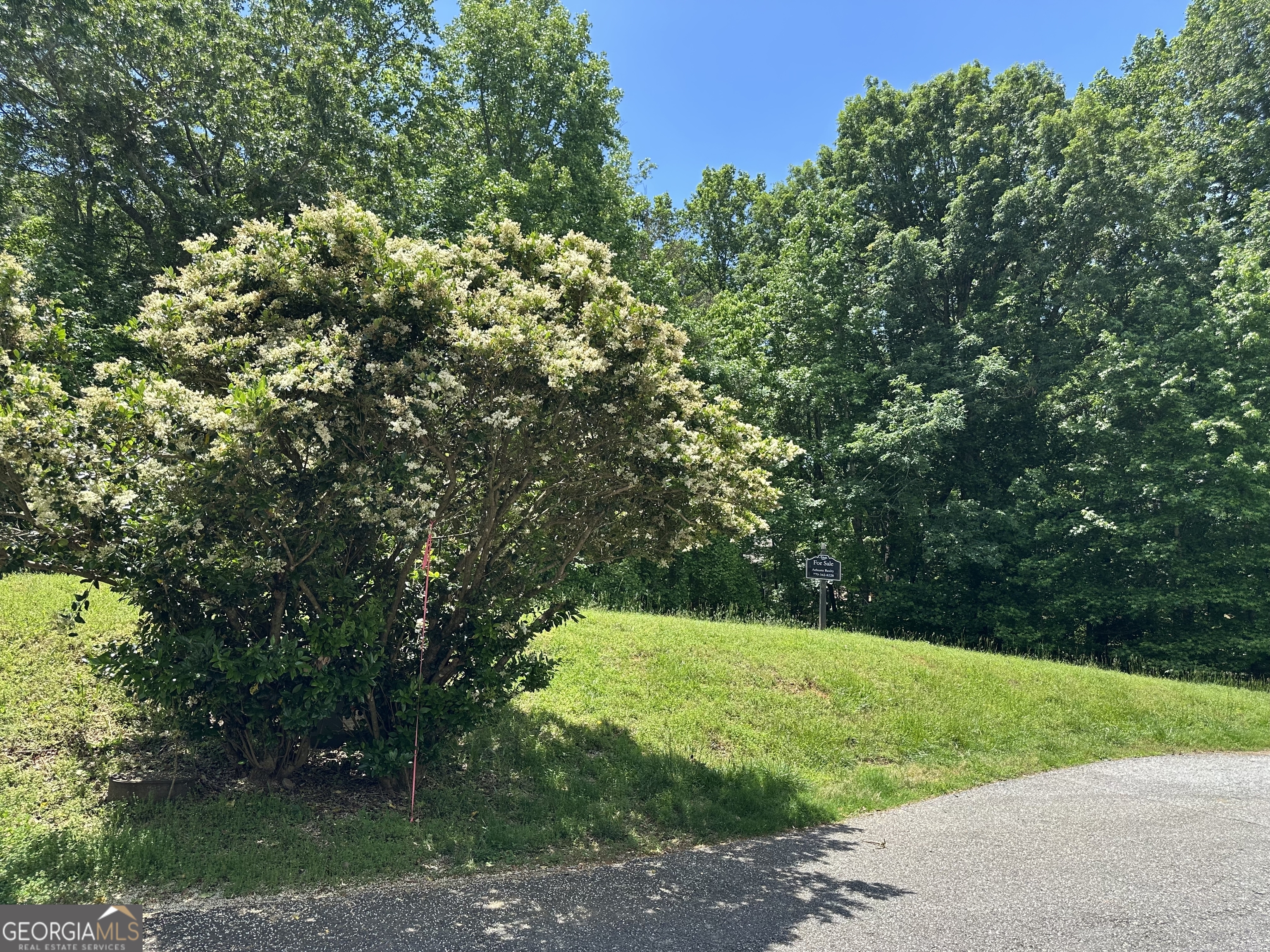 737 High Trestle CT LOT 737