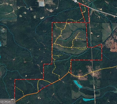 650+/- AC Talbotton HWY Butler GA 31006