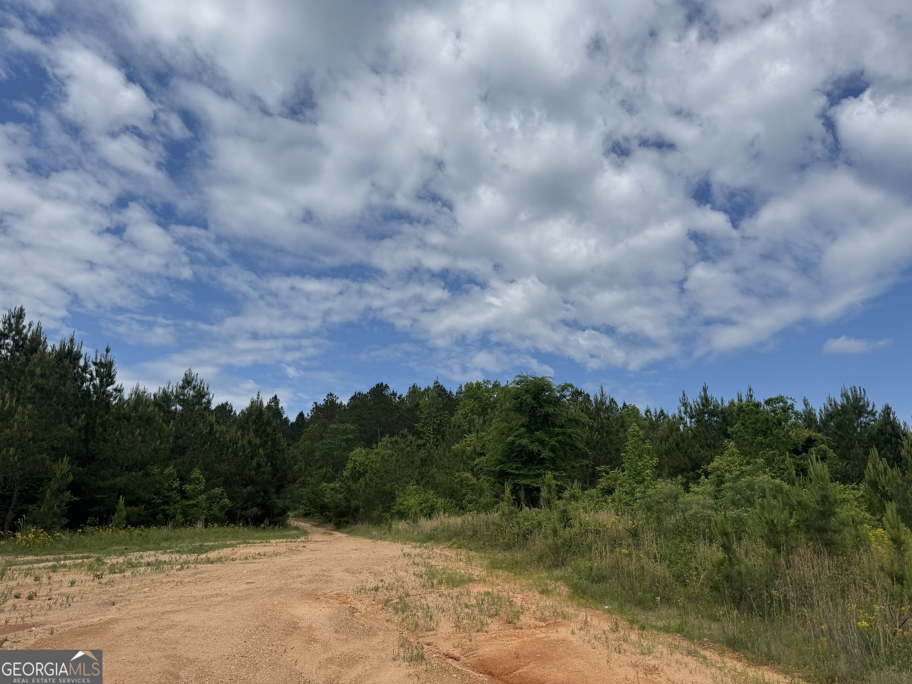 650+/- AC Talbotton HWY