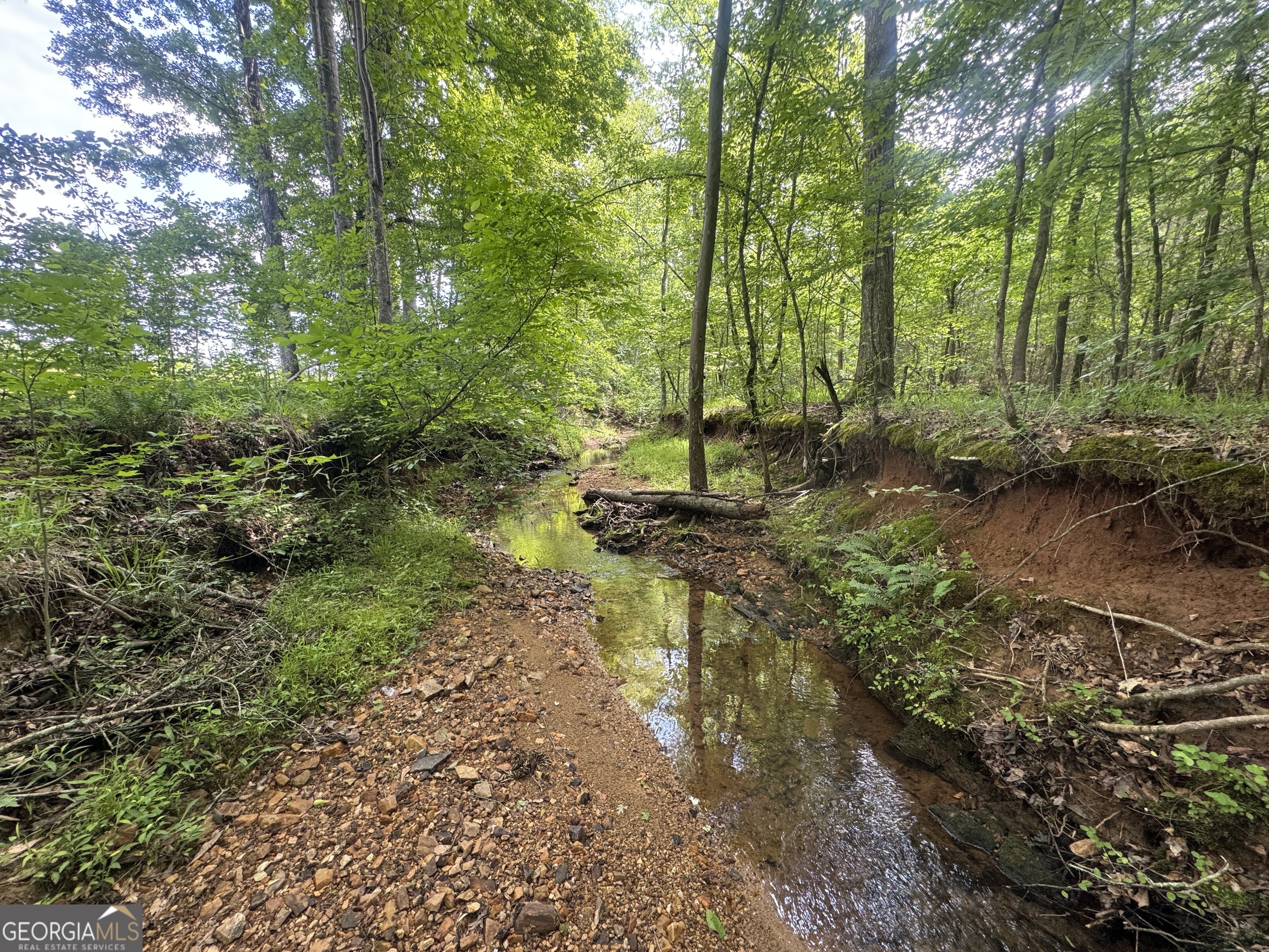 650+/- AC Talbotton HWY