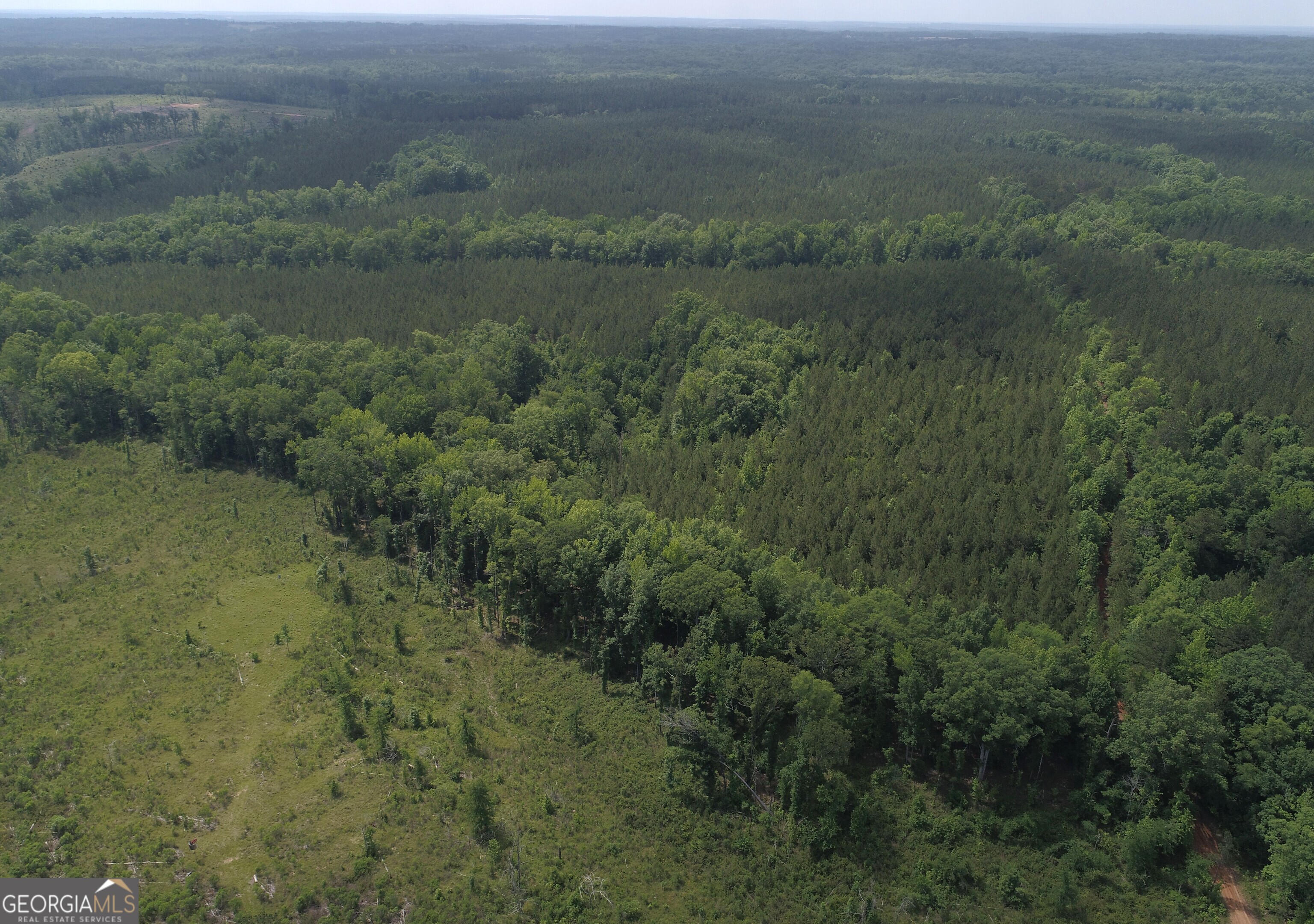 650+/- AC Talbotton HWY