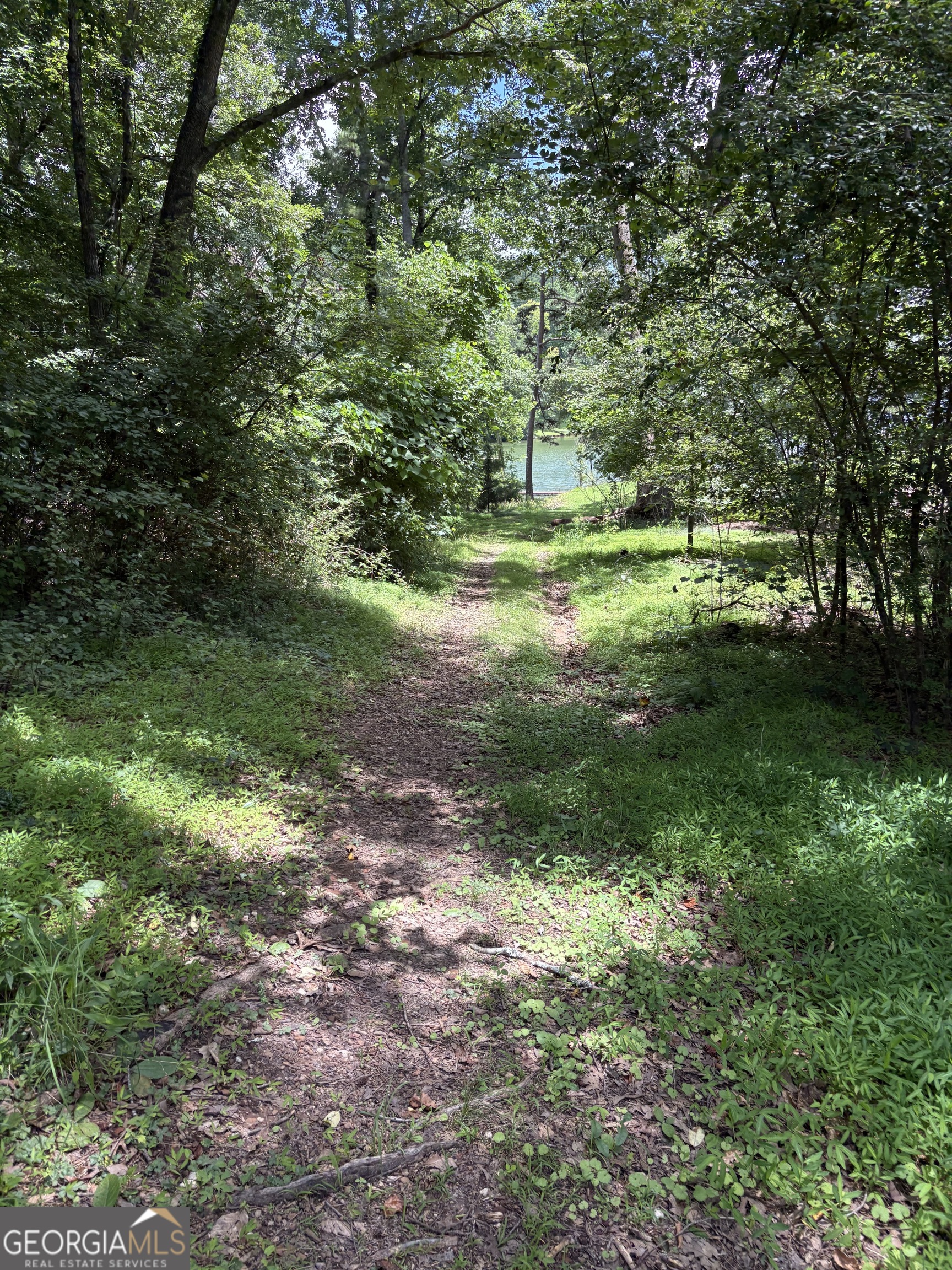 Lake Lanier - Residential