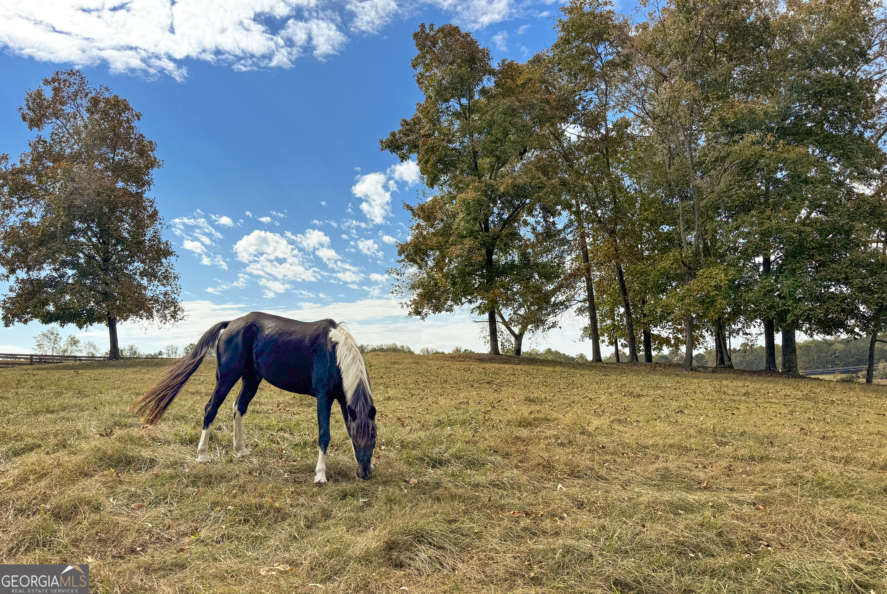 Lake Lanier - Residential