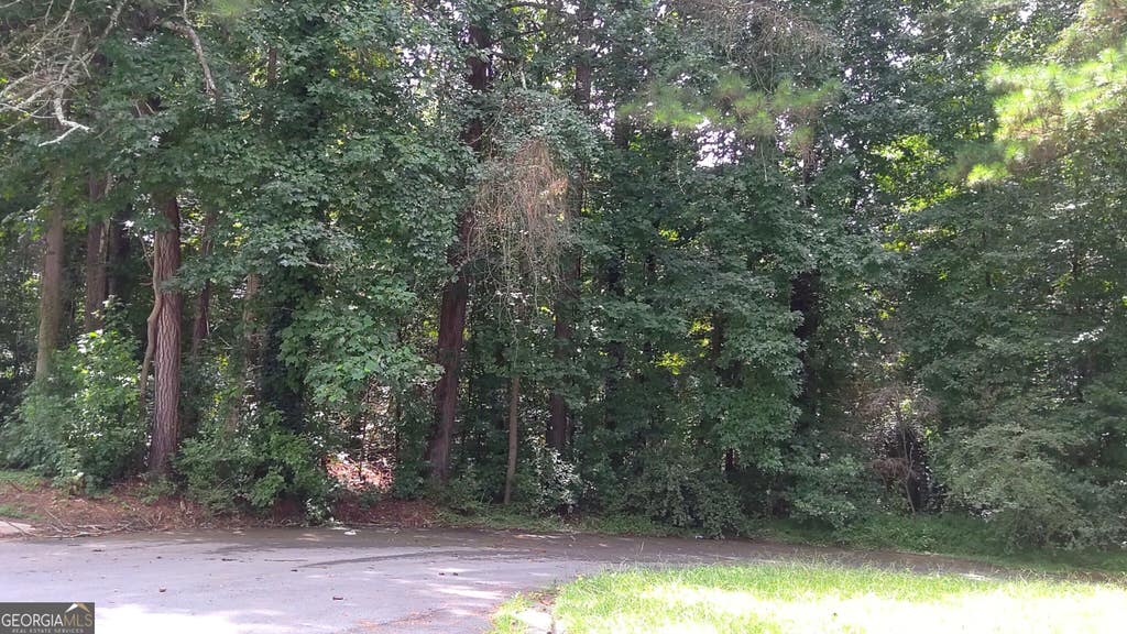 Photo of 0 Cherie Court, South Fulton, GA 30349 (MLS # 10813711)