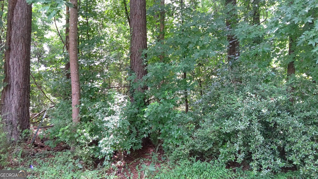 Photo of 0 Cherie Court, South Fulton, GA 30349 (MLS # 10813711)