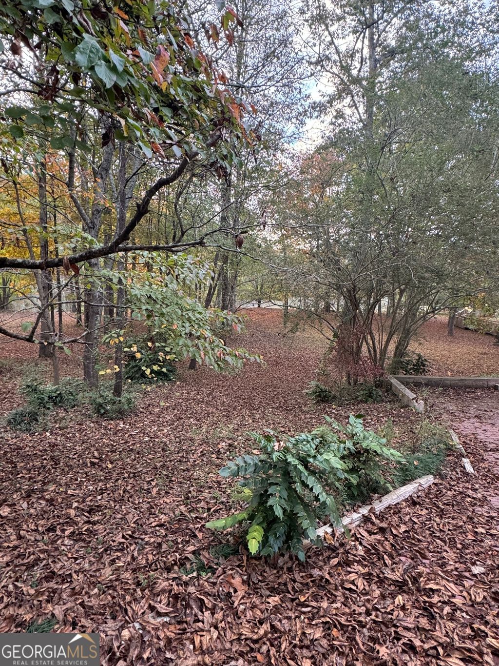 listing image 69