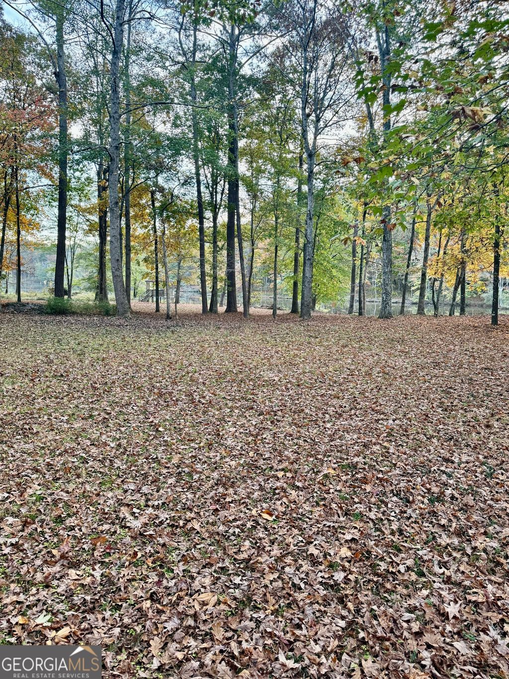 listing image 66