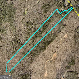 Great privacy on this flat, wooded parcel. Possible mini farm! Unlock the potential of this breathtaking 29.58-acre property, a rare opportunity for nature lovers, investors, or those seeking a private escape. This offering includes two adjacent parcels (29.58 acres and 31.04 acres) that must be sold together (Parcel #168-01036001). Zoned R2, this land allows for one home per two acres, making it an ideal location for a mini farm, private estate, or future development. With a full-price offer, the seller will provide a Land Title Survey and Soil Maps for both parcels-an invaluable asset for planning and development. Surrounded by towering trees and natural beauty, this wooded retreat offers unmatched privacy and endless outdoor recreation opportunities. Whether you're envisioning a homestead, or an investment in land, this property delivers space, seclusion, and opportunity. Don't miss this chance to own a vast, scenic piece of land with unlimited potential!