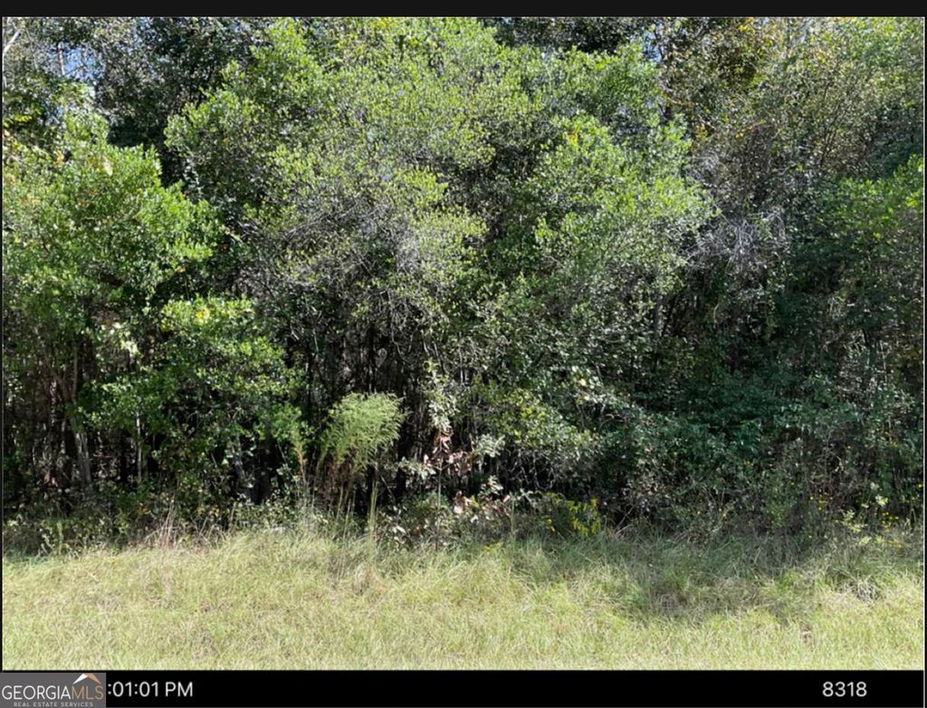 Photo of 1875 Oochee Creek Road, Toomsboro, GA 31090 (MLS # 10738357)