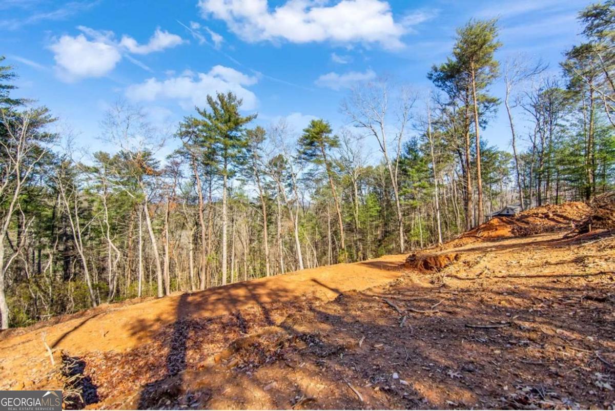 LT 11 Whispering Oaks DR