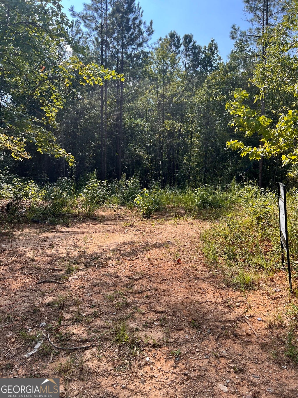 Photo of 1054 Nathan Jones Road, Harlem, GA 30814 (MLS # 10841269)
