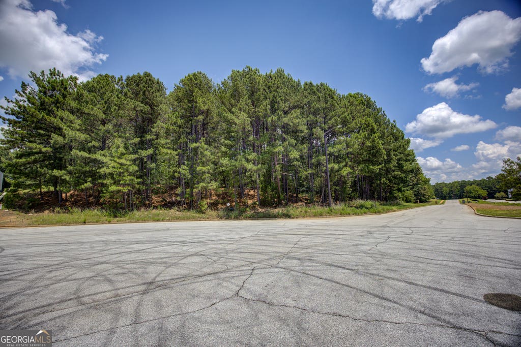 Photo of 2060 NE East Park Drive, Conyers, GA 30013 (MLS # 10800602)