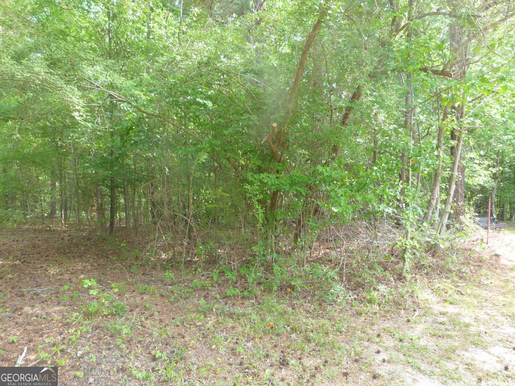 Photo of 0 Winfield Road, Appling, GA 30802 (MLS # 10731644)