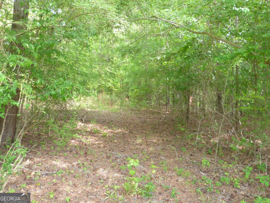 Photo of 0 Winfield Road, Appling, GA 30802 (MLS # 10731644)
