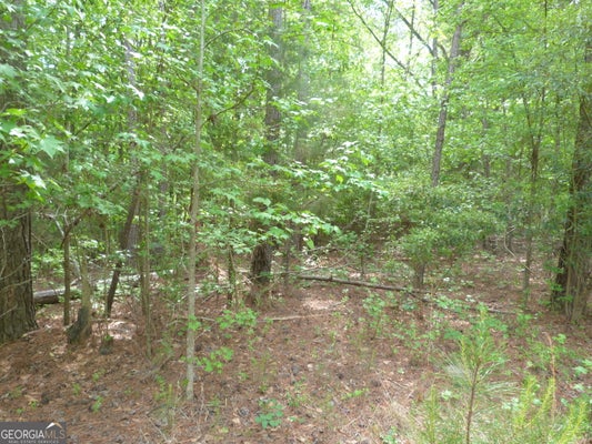 WINFIELD RD, APPLING, GA 30802 - Image 7ca6a6746292d50e5f59a3ff124c4ab4/943388690