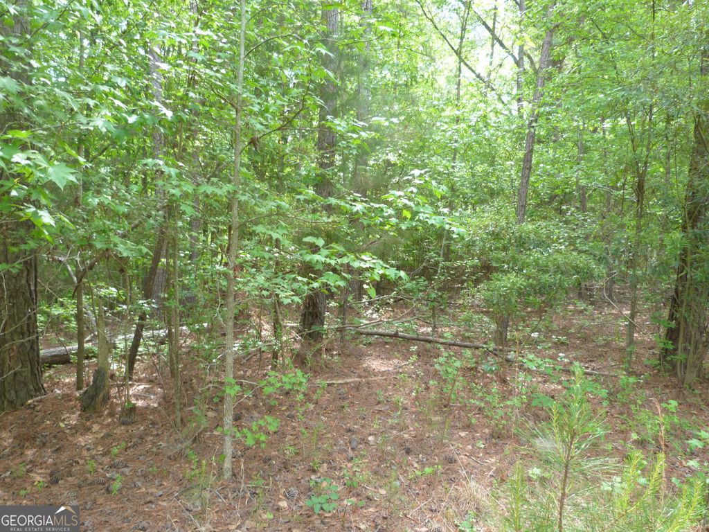 Photo of 0 Winfield Road, Appling, GA 30802 (MLS # 10731644)