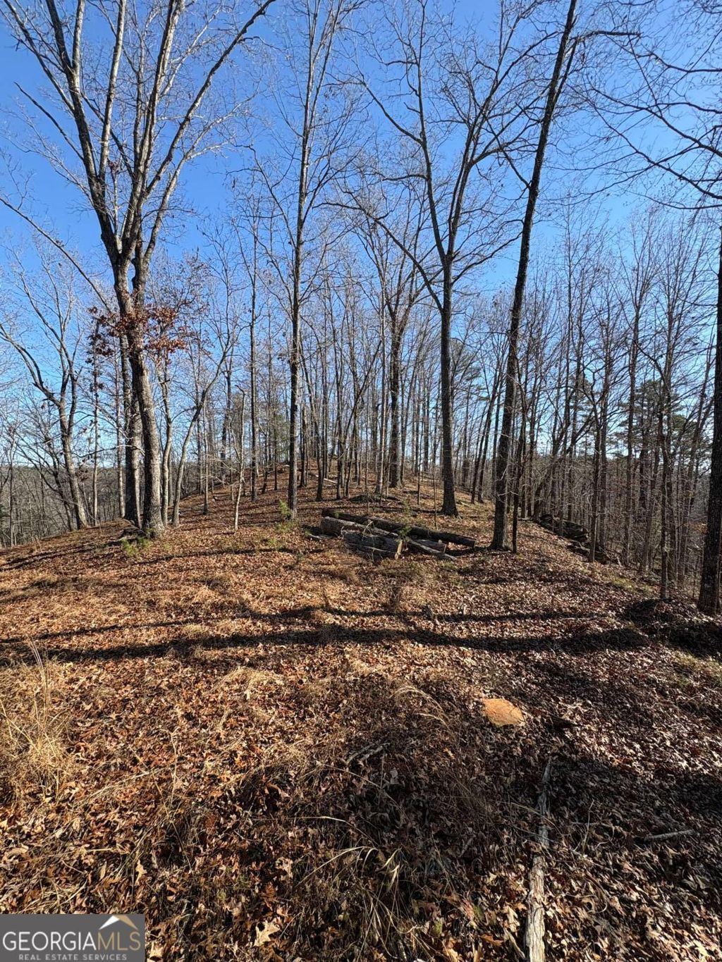 Photo of 0 Lawrence Road, Dawsonville, GA 30534 (MLS # 10708910)