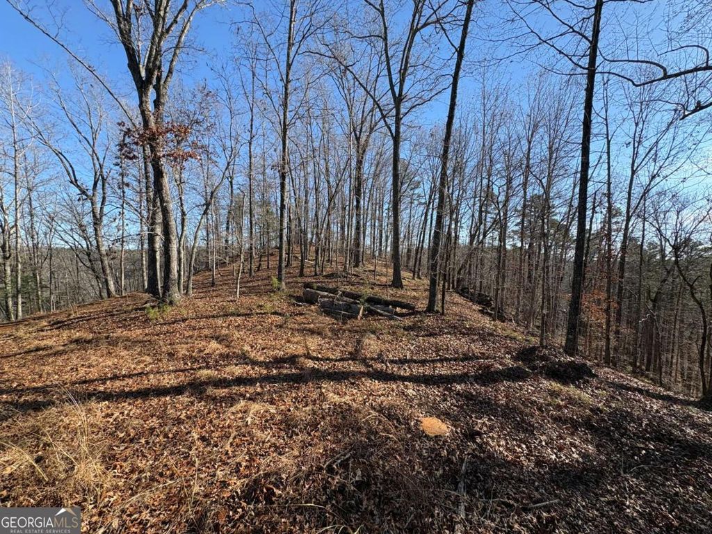 Photo of 0 Lawrence Road, Dawsonville, GA 30534 (MLS # 10708910)