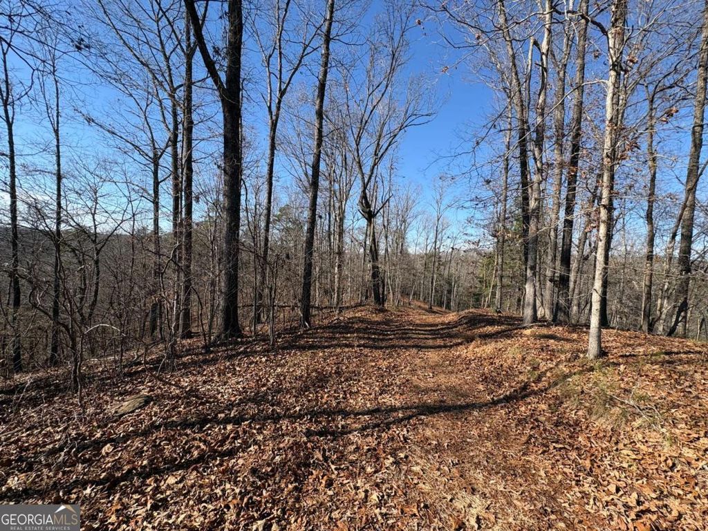 Photo of 0 Lawrence Road, Dawsonville, GA 30534 (MLS # 10708910)