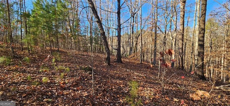 Beautiful 1.57-acre build-ready lot inside of Talking Rock Creek Resort. This site has a great building spot close to the road with mixed hardwoods throughout. Bring your builder & your boat. Enjoy Carters Lake & all that the resort has to offer (hiking trails, rec center with Gym, playground, pool, tennis courts, RV camping, Owens Lake & so much more). Public water is available at the street.