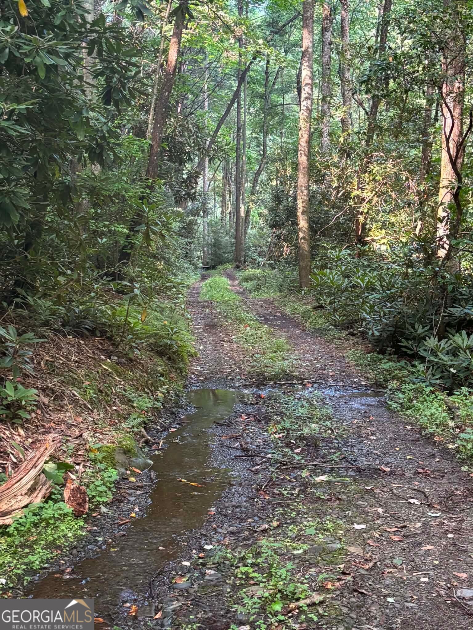 3 & 4 Jacks River RD