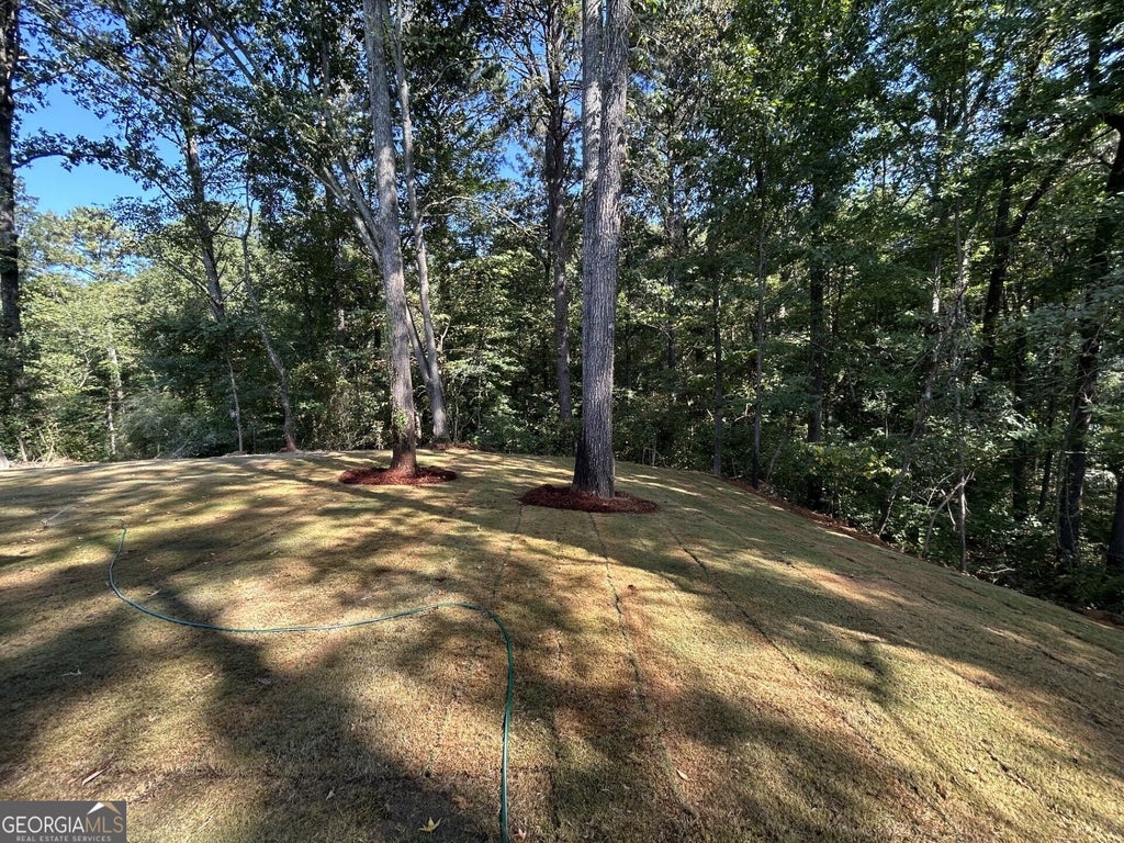 Photo of 11 Meadowview Circle, Cartersville, GA 30121 (MLS # 10787484)