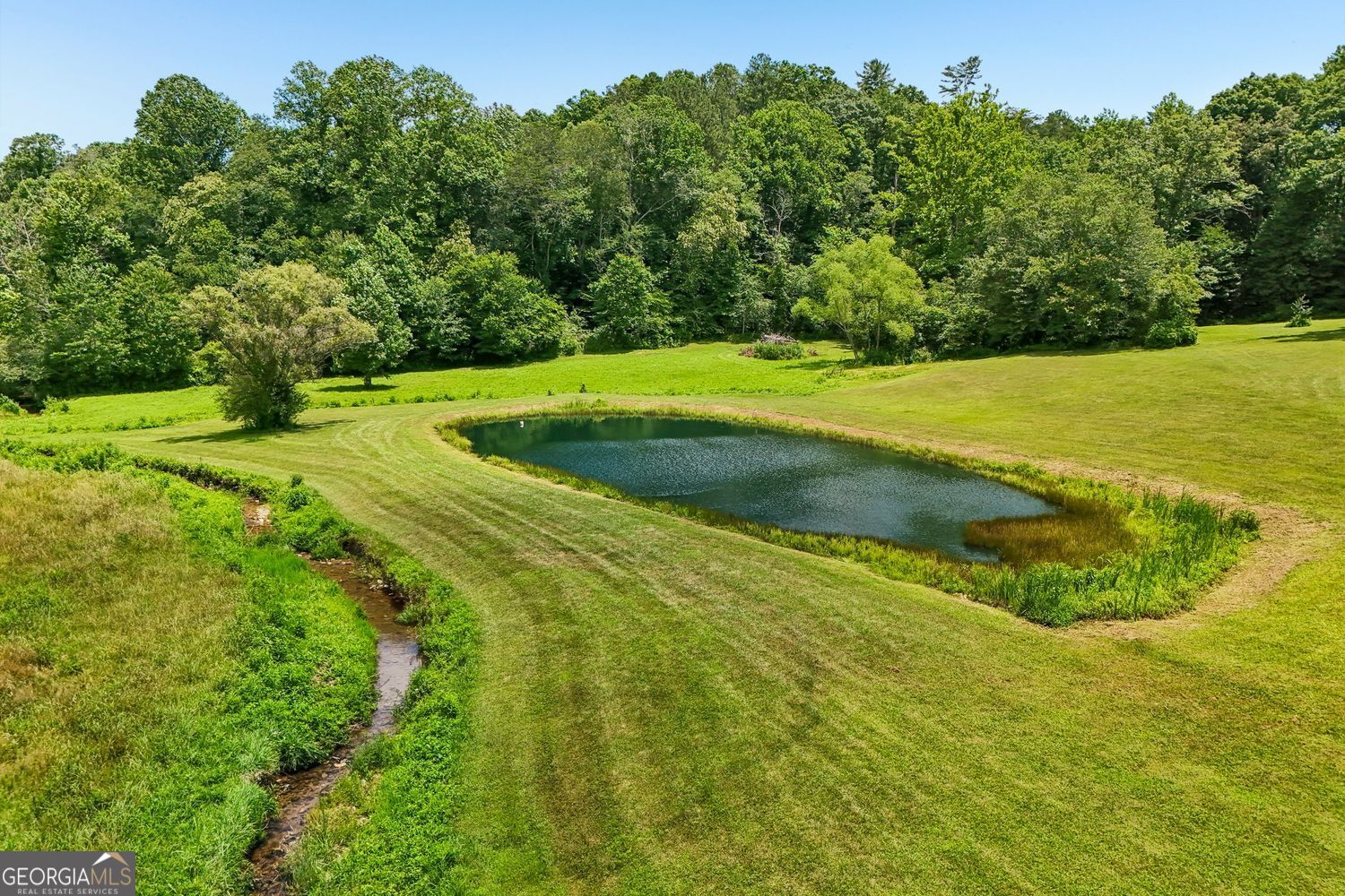 4218 Roy RD