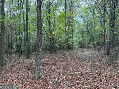 Photo of 0 Colquitt Road, Cedartown, GA 30125 (MLS # 10623944)