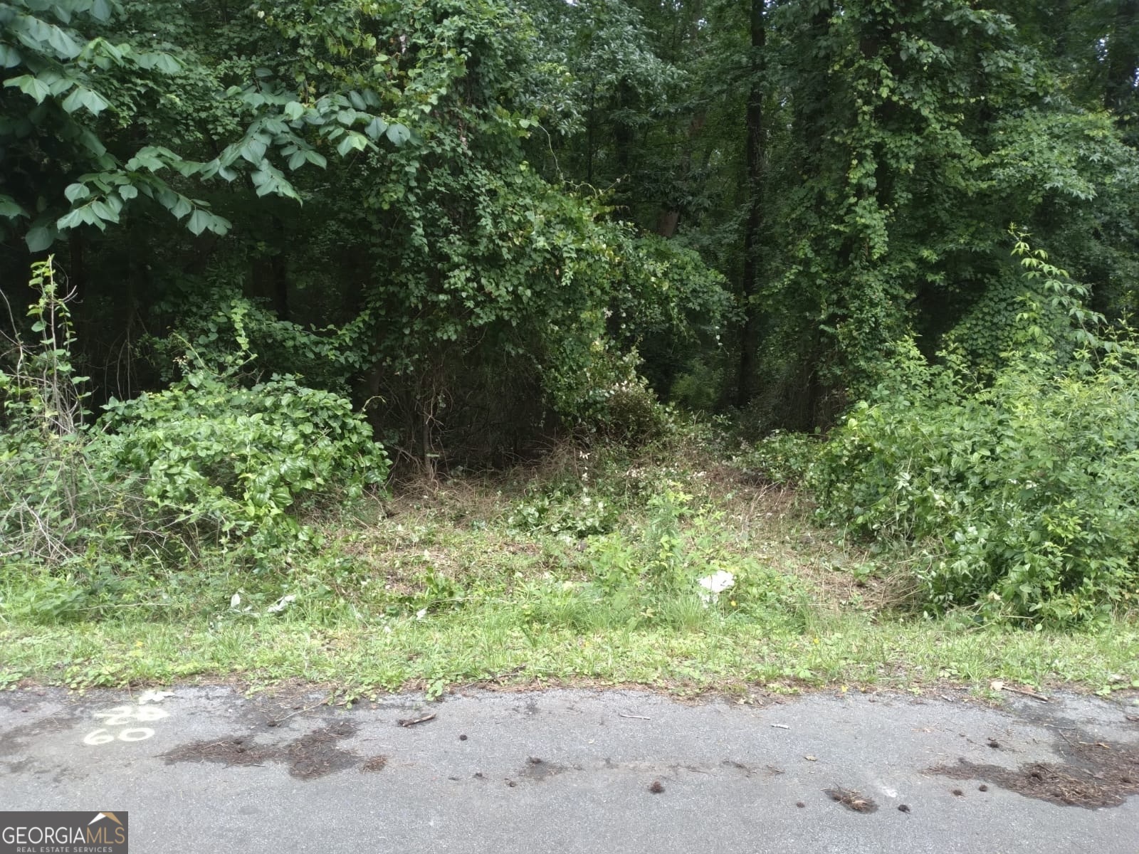 7462 Pine RD