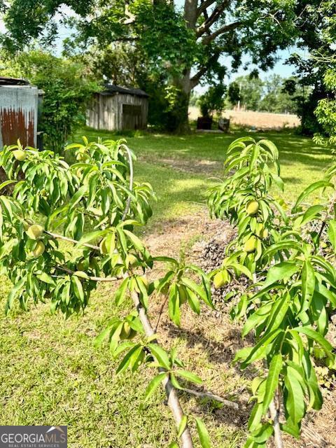 Brooklet, Georgia 30415, United States, 3 Bedrooms Bedrooms, ,3 BathroomsBathrooms,Residential,Pending,133222