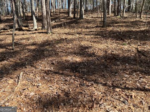 Photo of 630 N Armor Way, Ellijay, GA 30540 (MLS # 10698202)