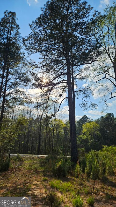 Photo of 0 Hwy 15, Greensboro, GA 30642 (MLS # 10722172)