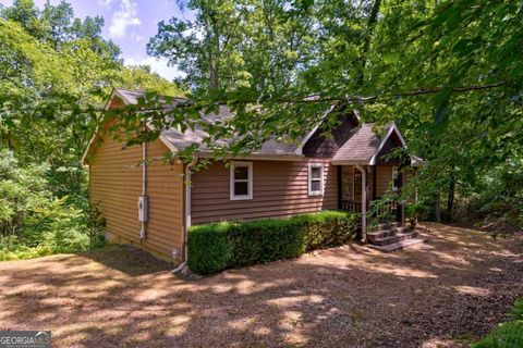 337 Branch Creek RD 1 Blue Ridge GA 30513