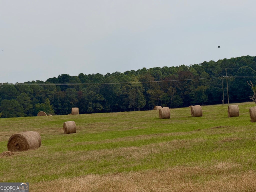 Photo of 482 Barnett Road SE, Crawfordville, GA 30631 (MLS # 10849808)