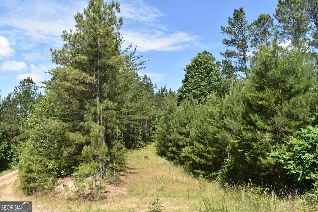 Photo of 0 Nickelsville Road, Ranger, GA 30734 (MLS # 20148653)