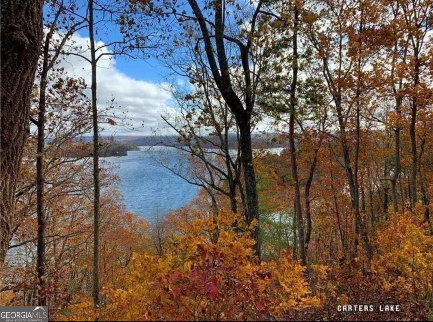 Ranger, Georgia 30734, United States, 2 Bedrooms Bedrooms, ,2 BathroomsBathrooms,Residential,Active,218832