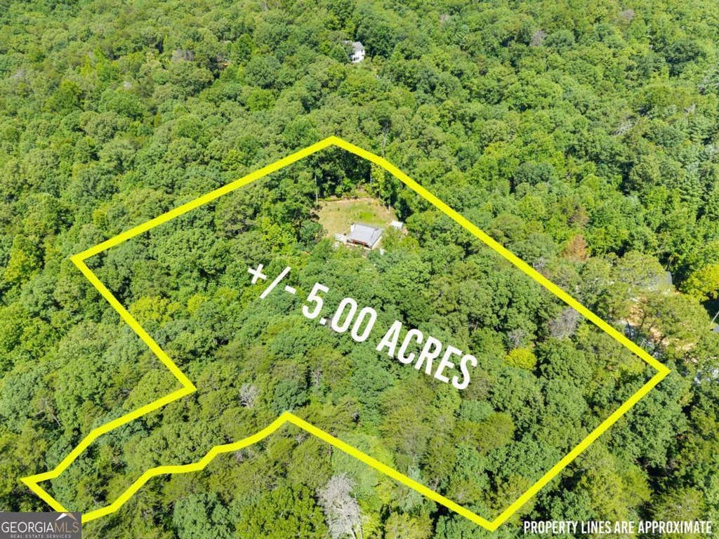 Photo of 189 Peace Valley Road, Dahlonega, GA 30533 (MLS # 10810773)