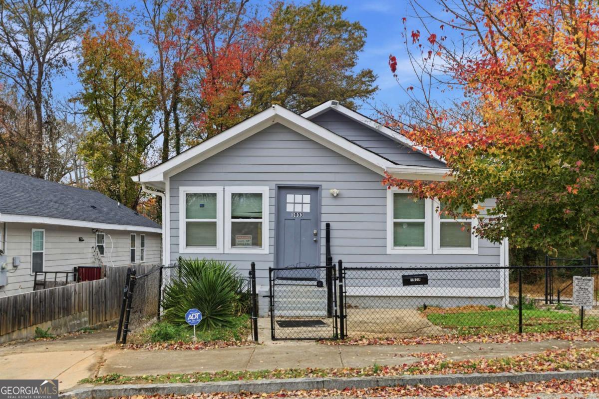 1033 Palmetto Ave SW