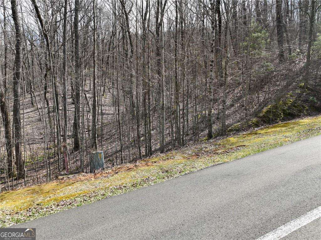 Large Mountain Lot in Gated Community with spring on the lot! Season close mountain views. This upsloping lot is 4.36 acres! So much privacy on this big lot with a nice building spot about halfway up. The left side of this lot has a nice slope for your driveway. If you build high enough on the backside of this lot to rise, you might be able to capture a long range view too! Want even more acreage and privacy? The adjacent lots on both sides are for sale too! Check out the topo map included in the photos and imagine where you'll position your mountain home! You'll love the state park feel of Georgian Highlands! Close to orchards, wineries, and hiking. Approx 20-25 minutes to Jasper or Ellijay. PER HOA,Okay to buy now and build later. Electric, phone, cable, and high speed internet at road. Gated, HOA, 2000 min, no rentals, all buyers must be with an agent per HOA. Terrain parcel line photos are an approximation only.