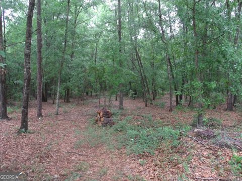 A home in Statesboro